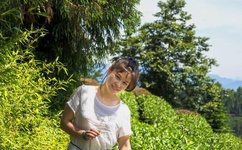 蜜芽跳转接口首首免费